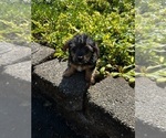 Small #5 Breeder Profile image