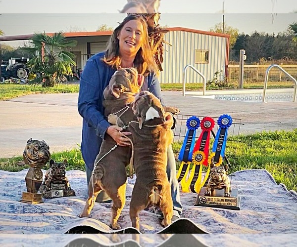Medium Photo #9  Breeder Profile in CALDWELL, TX, USA
