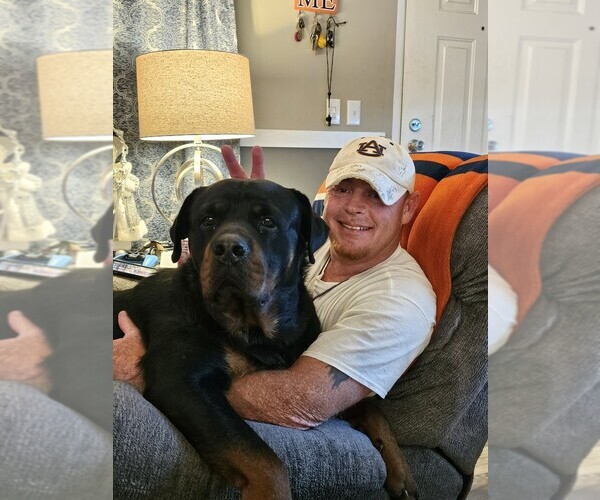 Medium Photo #1  Breeder Profile in MARIANNA, FL, USA