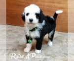 Small #5 Breeder Profile image