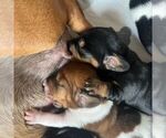 Small #14 Breeder Profile image