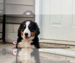 Small #9 Breeder Profile image
