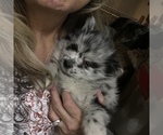 Small #15 Breeder Profile image