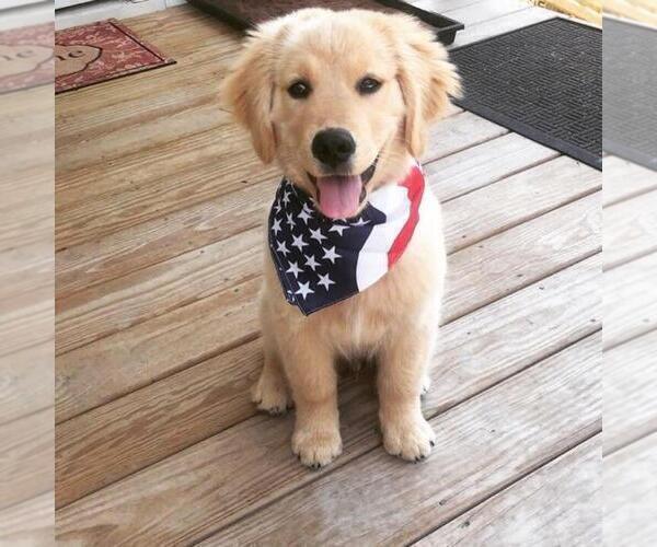 Medium Photo #8  Breeder Profile in STELLA, NC, USA