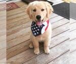 Small #7 Breeder Profile image