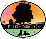 Small #3 Breeder Profile image