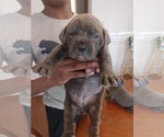 Small #6 Breeder Profile image