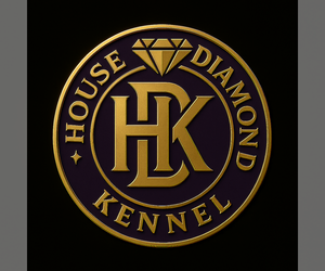 American Bully Dog Breeder near FORT WORTH, TX, USA