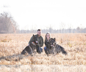 German Shepherd Dog Dog Breeder near FINDLAY, OH, USA