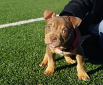 Small #10 Breeder Profile image