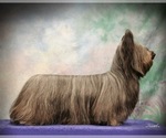 Small #8 Breeder Profile image