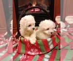 Small #1 Breeder Profile image