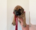 Small #6 Breeder Profile image