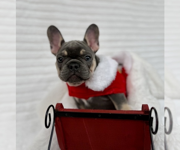 Medium Photo #20  Breeder Profile in KALISPELL, MT, USA