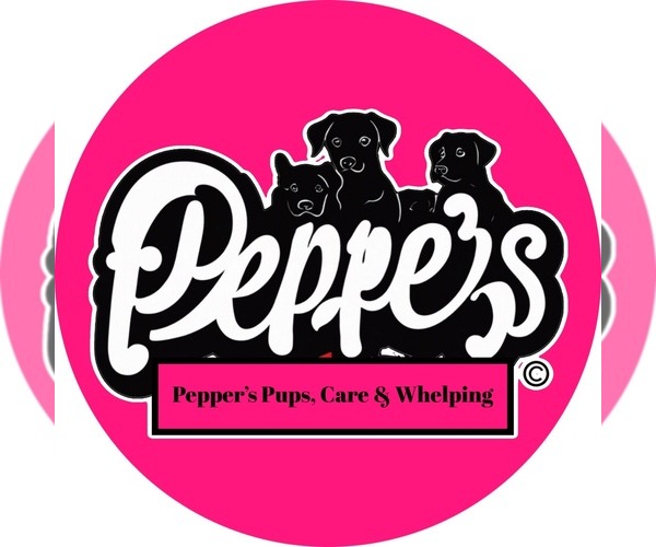 Medium Photo #1  Breeder Profile in N RICHMOND, CA, USA