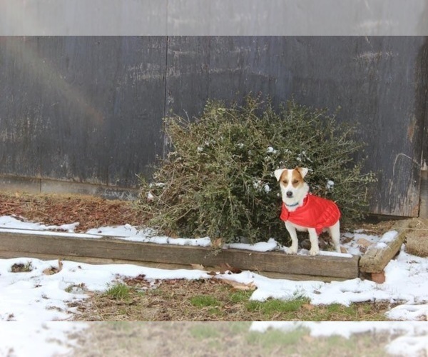 Medium Photo #11  Breeder Profile in MABLETON, GA, USA