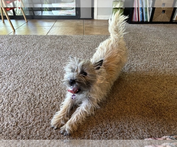 Medium Photo #25  Breeder Profile in FAIR OAKS, CA, USA