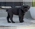 Small #1 Breeder Profile image