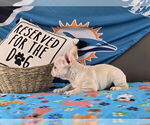 Small #14 Breeder Profile image