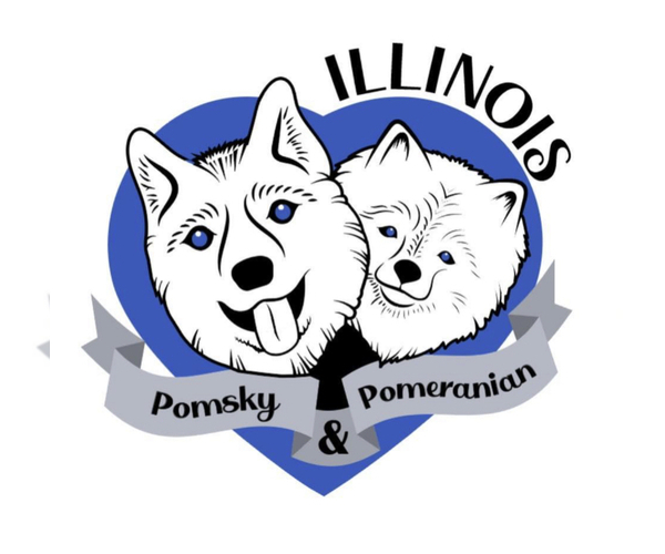 Medium Photo #1  Breeder Profile in OAK FOREST, IL, USA
