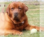 Small #2 Breeder Profile image