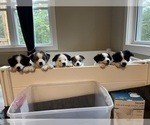 Small #10 Breeder Profile image