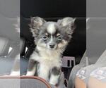 Small #37 Breeder Profile image