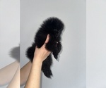 Small #4 Breeder Profile image