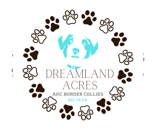 Medium Photo #1  Breeder Profile in DELTA, PA, USA