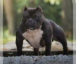 Small #1 Breeder Profile image