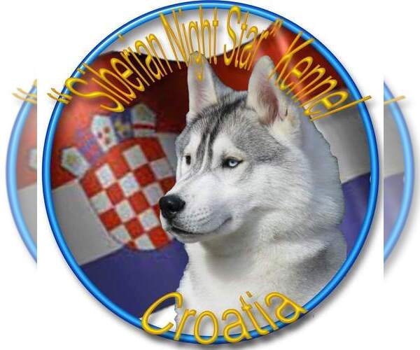 Medium Photo #1  Breeder Profile in Topolje, Osjecko-Baranjska, Croatia