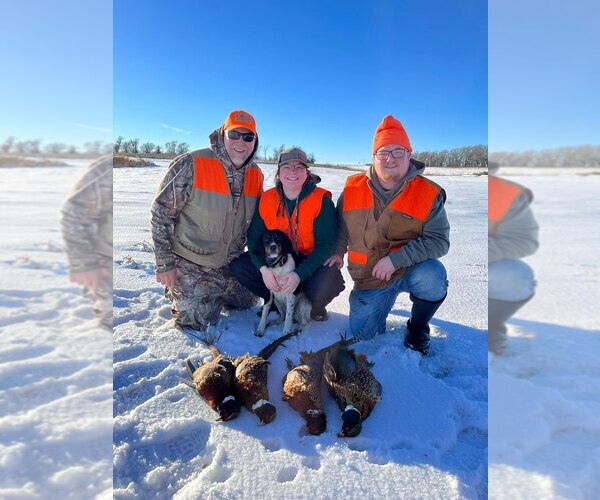 Medium Photo #11  Breeder Profile in LITCHFIELD, MN, USA