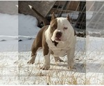 Small #4 Breeder Profile image