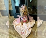 Small #18 Breeder Profile image