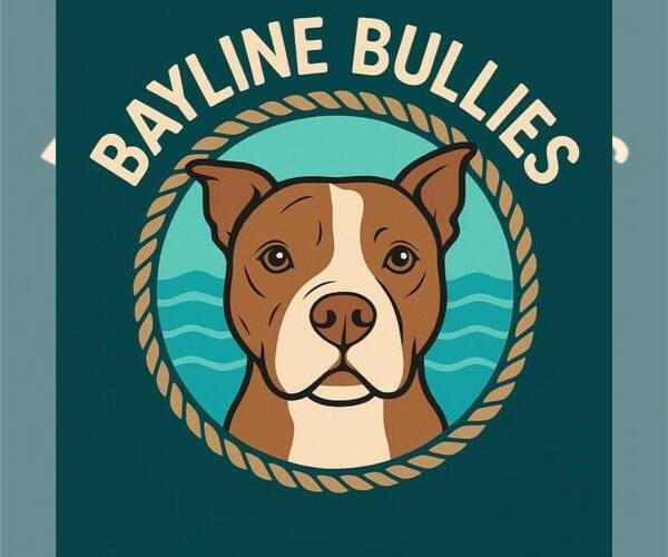 Medium Photo #1  Breeder Profile in NORFOLK, VA, USA