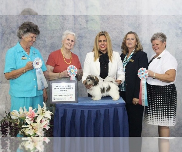 Medium Photo #5  Breeder Profile in MIDDLEBURG, FL, USA