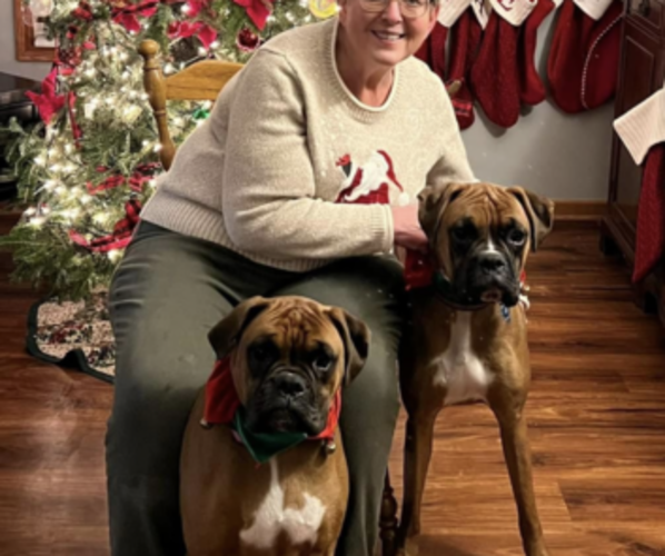 Medium Photo #11  Breeder Profile in LIMA, OH, USA