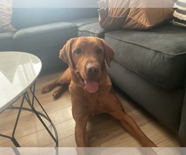 Medium Photo #2  Breeder Profile in ALBUQUERQUE, NM, USA