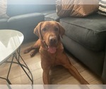 Small #1 Breeder Profile image