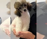 Small #2 Breeder Profile image