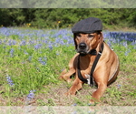 Small #8 Breeder Profile image