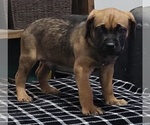 Small #8 Breeder Profile image