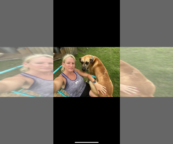 Medium Photo #1  Breeder Profile in HUGHES SPRINGS, TX, USA