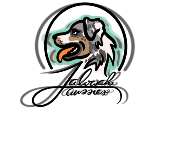 Medium Photo #1  Breeder Profile in LUMBERTON, MS, USA