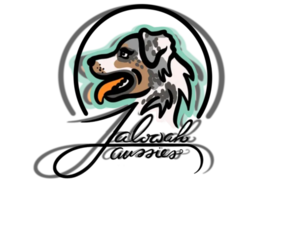 Miniature Australian Shepherd Dog Breeder near LUMBERTON, MS, USA