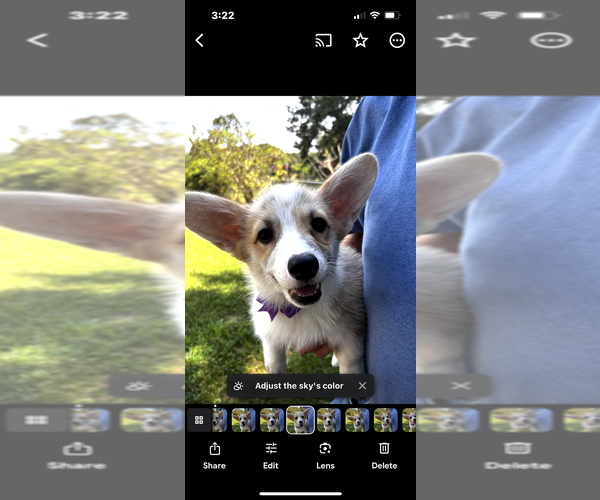 Medium Photo #4  Breeder Profile in CLEVELAND, TX, USA