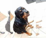 Small #5 Breeder Profile image