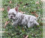 Small #9 Breeder Profile image