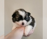 Small #7 Breeder Profile image