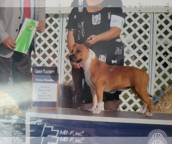 Medium Photo #1  Breeder Profile in CONWAY, SC, USA